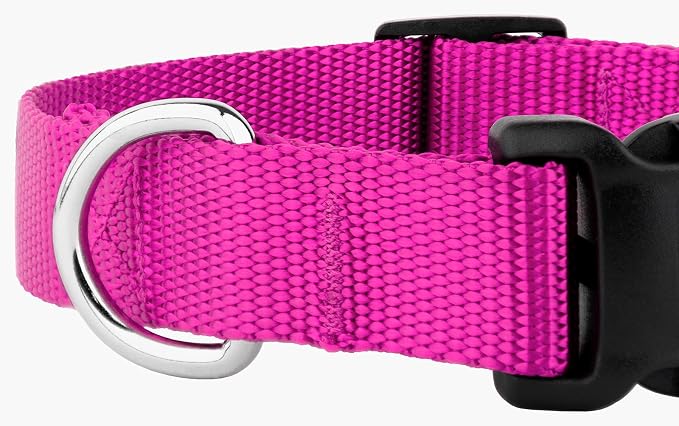 Country Brook Petz - Deluxe Nylon Dog Collar and Leash - 10+ Cool Colors (1 Inch, Large, Fuchsia)