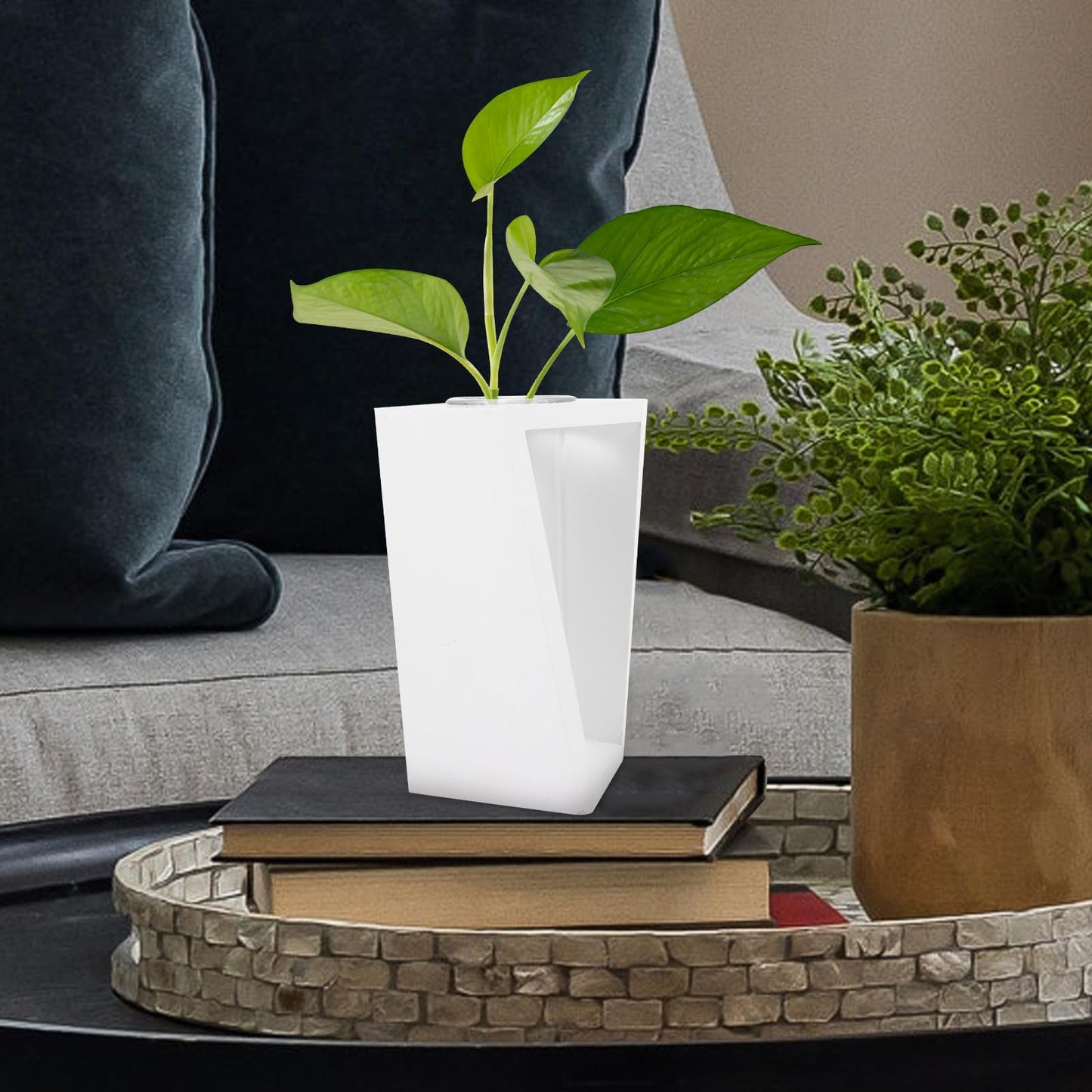 PRETYZOOM Wooden Frame Test Tube Plant Vase for Indoor Hydroponic Propagation, Glass Flower Vase with White Stand, Tube Planter Terrarium for Home and Office Décor