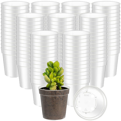 Yaomiao 80 Pcs 3 Inch Clear Mini Plastic Plant Pot Nursery Seedling Pots Seed Starter with Drainage Holes for Indoor Outdoor Garden Succulent Plants Cuttings Transplanting