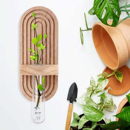 Beeveer 4 Sets Hanging Plant Propagation Stations Walnut Wood Wall Mounted Test Tube Vase Rustic Decorative Glass Planter Holder Gift for Women Plant Lover Hydroponic Flowers Home and Office Decor
