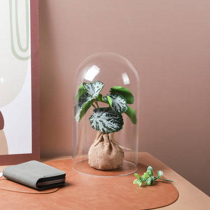 10" Tall Clear Glass Display Cloche, Dome Shape for Terrarium, Plants, Trinkets, Cakes, Figurines, LED Light String, Candle. Cloche Glass Dome, Bell Jar Display Case (1, 5.5"x10")