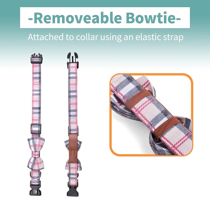 IVY&LANE Dog Collar with Bowtie and Leash Set | Plaid Adjustable Dog Collar | Detachable Bow Tie |5 FT Dog Leash | for Small Medium Large Dogs | Checkered Beige | X-Small