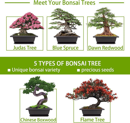 Meekear Bonsai Tree Kit with Complete Plant Growing Tools, Grow in Pot Indoor Bonsai Tree Starter Kit, Home Gardening DIY Gift for Adult
