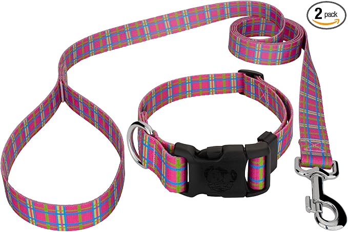 Country Brook Petz - Bubblegum Pink Plaid Everyday Collar and Leash - Plaid and Argyle Collection Featuring Charming Designs (1/2 Inch, 2XS)