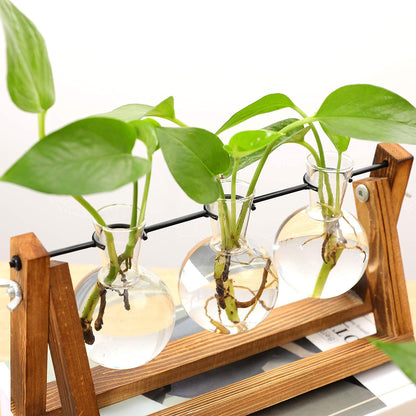 Kingbuy Desktop Glass Planter Iron and Wooden Stand Plant Terrariums for Indoor Office Desk Decor Accessories, 3 Bulb Vases, Brown