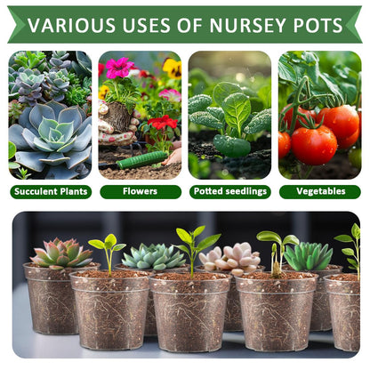RooTrimmer 2.5" Clear Seeding Pots 100-Pack Round for Seeds Starter Pots, Seeds Germination Transparent Nursery Pot with Drainage Holes (2.5Inch,100Pcs,Clear)