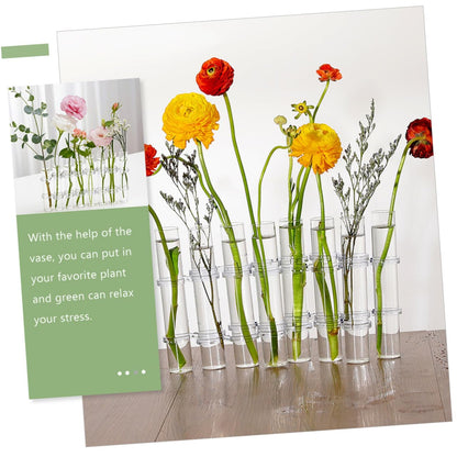VICASKY Hydroponic Test Tube Vases 6-Piece Glass Plant Propagation Kit for Indoor Home Decor Wall Hanging Planter and Desktop Terrarium Arrangement