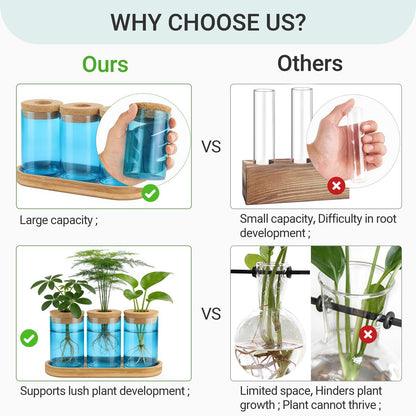 Dahey Blue Plant Propagation Terrarium Desktop Glass Planter Station Water Planting Glass Vase with Lid and Wooden Stand for Propagating Hydroponic Plants Centerpiece Office Home Garden Decor, 3 Pcs