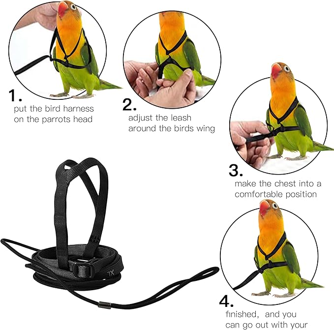 2 pcs Pet Parrot Bird Harness and Leash, Adjustable Training Design Anti-Bite, Outdoor Flying Training Rope Kit for Bird Parrots Fits Birds Chest Between46-76cm /18.11-29.92inch - XL (Black)