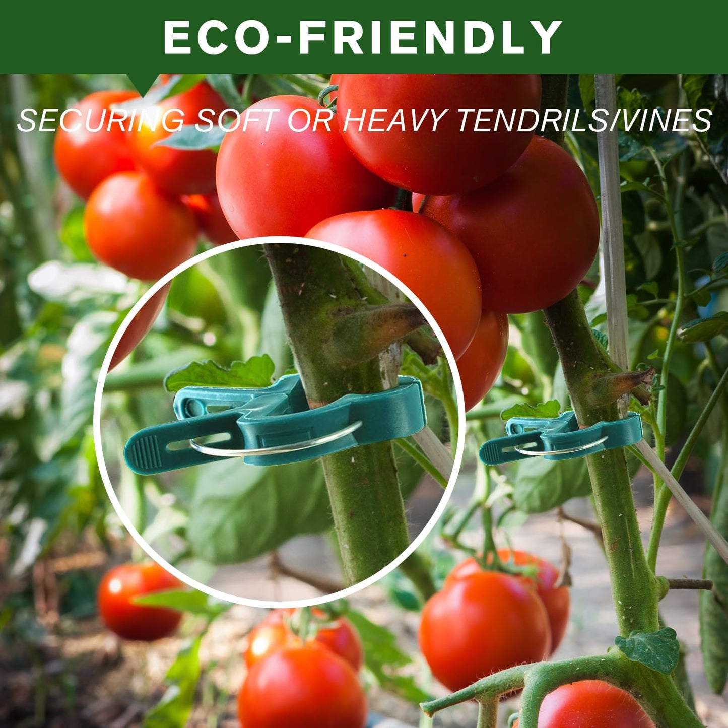 Iniscape A Plant Clamp Used for Climbing Plants,Horticultural Clip Used to Support Climbing of Flower Stems, Vines, Vegetables, and Tomatoes,Vine Clip for Garden Vine Training (Green, 120big)