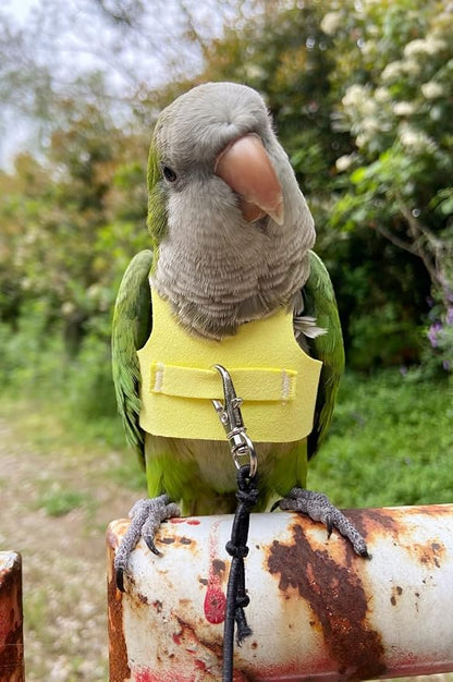 Bird Flight Harness Vest Parrot Flight Suit with Leash for Parakeets Cockatiels Conures Budgies, Bird Flying Clothes with Rope and Handle for Outdoor Activities Training (XS,Yellow)