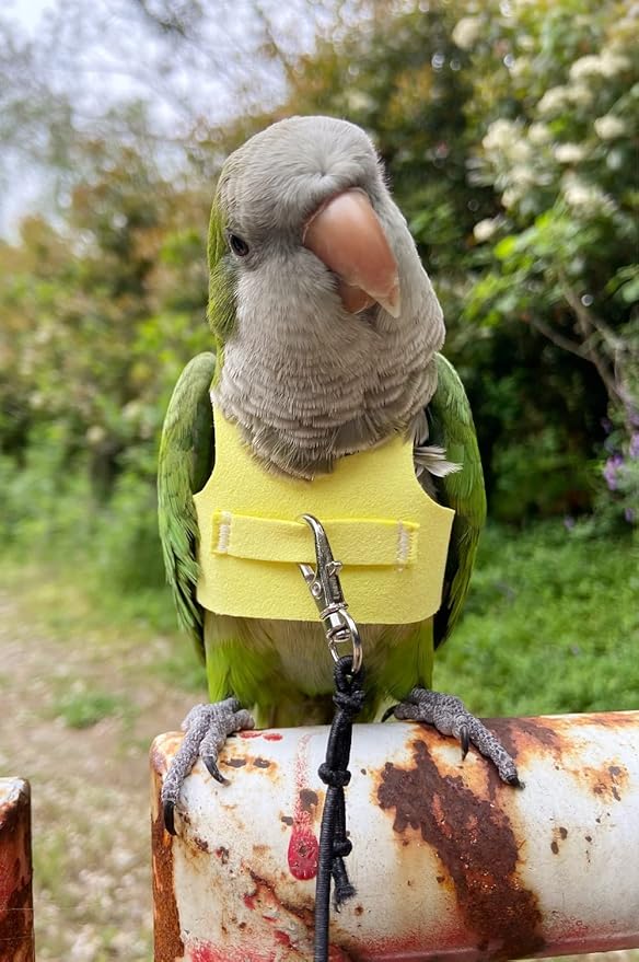 Bird Flight Harness Vest Parrot Flight Suit with Leash for Parakeets Cockatiels Conures Budgies, Bird Flying Clothes with Rope and Handle for Outdoor Activities Training (S,Yellow)
