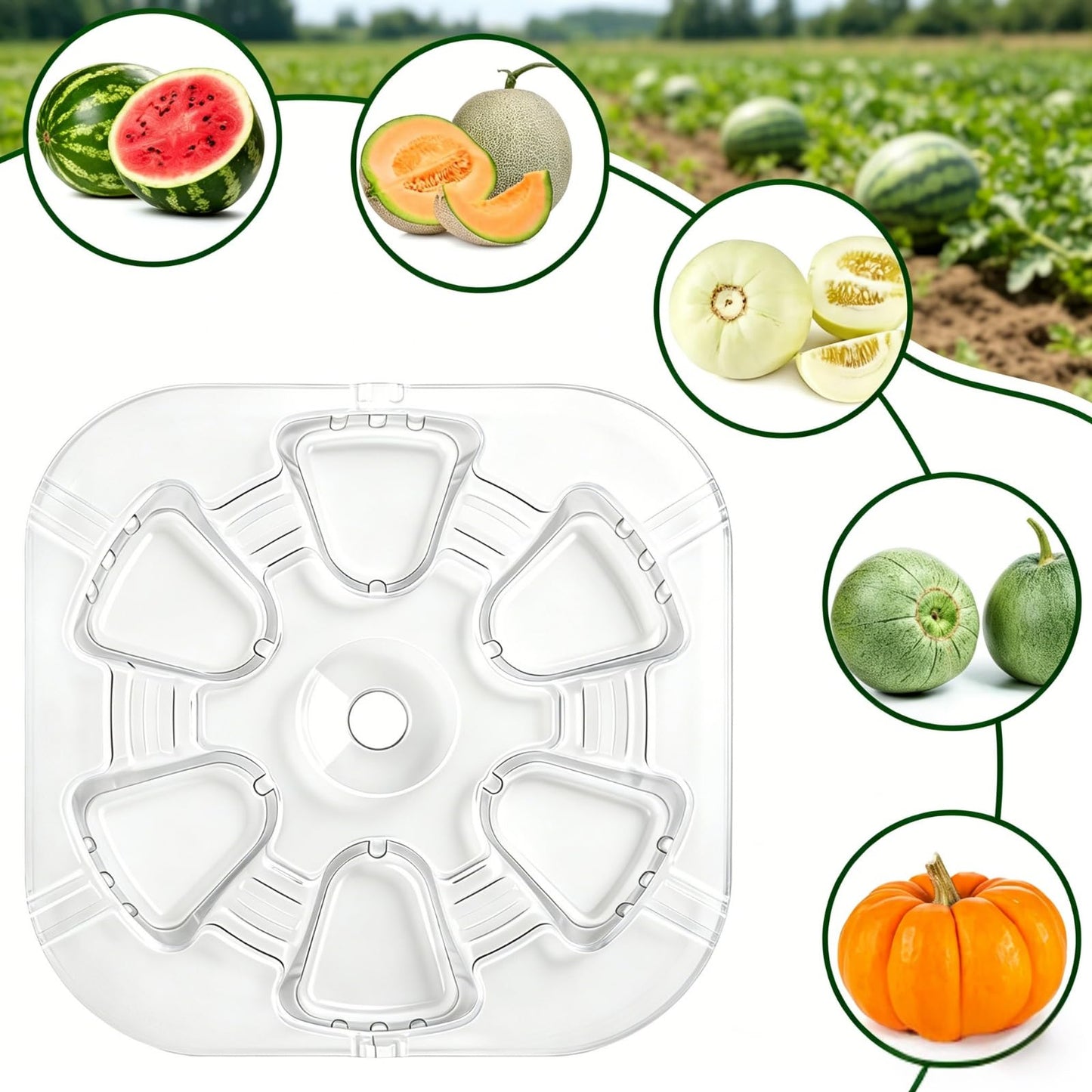 Pumtus 100 Pack Plastic Melon Cradles, Clear Watermelon Support Stand Hold up to 25 lbs, Garden Plant Protection Cage, Fruits Tray for Holding Melon Pumpkin Squash Cantaloupe Off The Ground