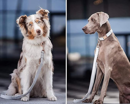 Soft Leather Dog Collar and Leash (6.6') Set - Stylish Rose Gold Heavy Duty Metal Buckle, 4 Adjustable Lengths Leash for Small Medium Large Dogs - Comfortable & Easy to Clean White XS(8"-12")