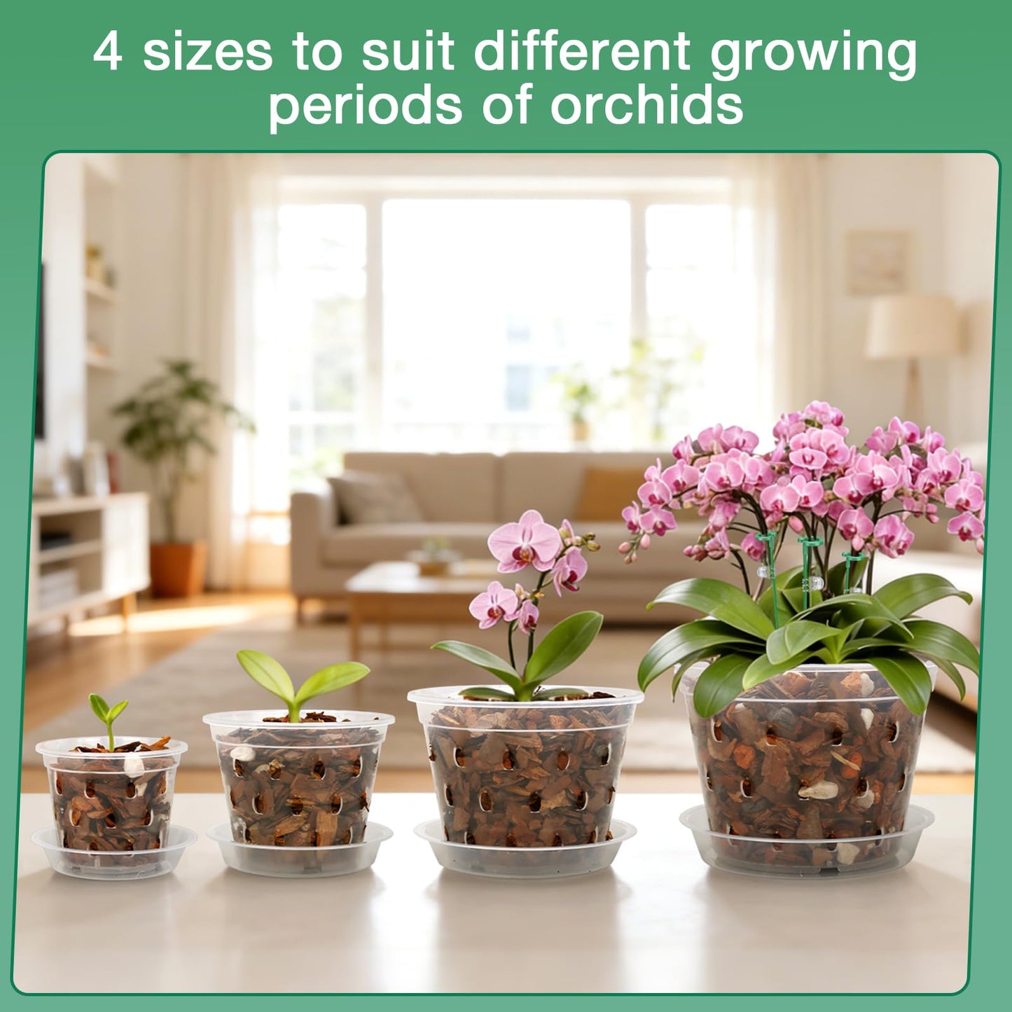 WTXHOP 3/4/5/6 Inch Orchid Pot, 12 Pack Clear Orchid Pots with Holes, Saucer and Plant Stakes for Repotting, Plastic Plant Pot for Indoor & Outdoor Plants