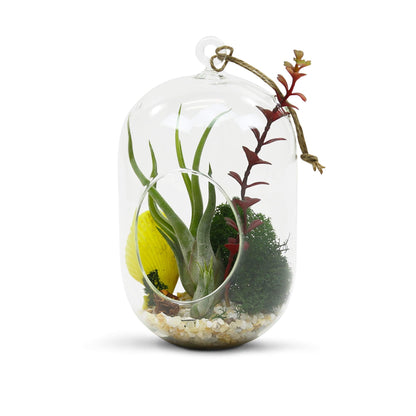 WGV Hanging Glass Plant Terrarium, Width 5", Height 8", Lantern DIY Air Succulent Planter Clear Tea Light Votive Candle Holder, Wedding Event Office Home Outdoor Decor, 1 Piece