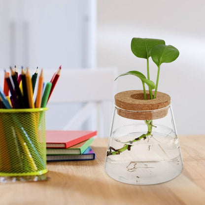 FUOYLOO Desktop Glass Vases for Hydroponics Plants, Stylish Terrarium Planter Wood Lid for Indoor and Hospitality Decor
