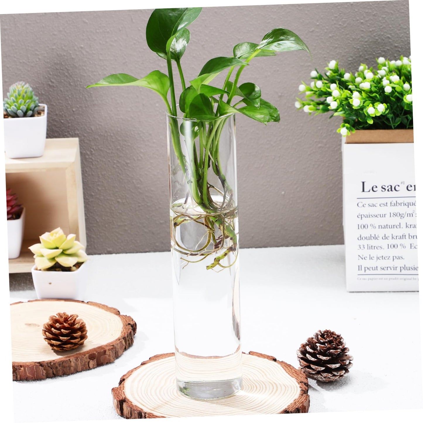 VANZACK 2pcs Cylinder Glass Wall Vases Hanging Terrarium Planters for Indoor Plants Easy to Install Propagation Stations for Home and Office Decor