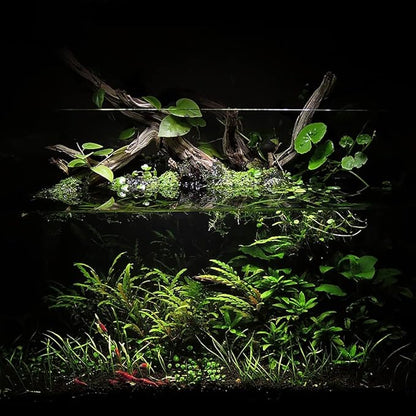 Ultum Nature Systems Controsoil - Freshwater Aqua Soil Substrate for Fish, Shrimp, Live Plant Propagation and Aquascaping - 6.8pH Low Ammonia, Volcanic Ash - Black, Extra Fine (3 Liter)