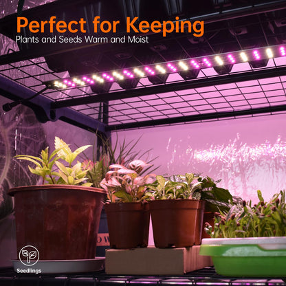Bstrip Indoor Greenhouse with Grow Lights, 4 Tier 27.2" L×19.9" W×61.8" H Mini Greenhouse with Zippered PVC Cover for Seed Starting Trays, Dimmable 2FT 60W Plant Light for Indoor Plants with Timer