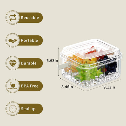 Small Premium Chilled Serving Tray with Lid for Parties,Cold Dish Perfect for Fruits,Veggies,Shrimp Cocktail - Keeps Food Cool,Ice Chilled Party Platter for Vegetables,Snacks,Candy and Appetizers