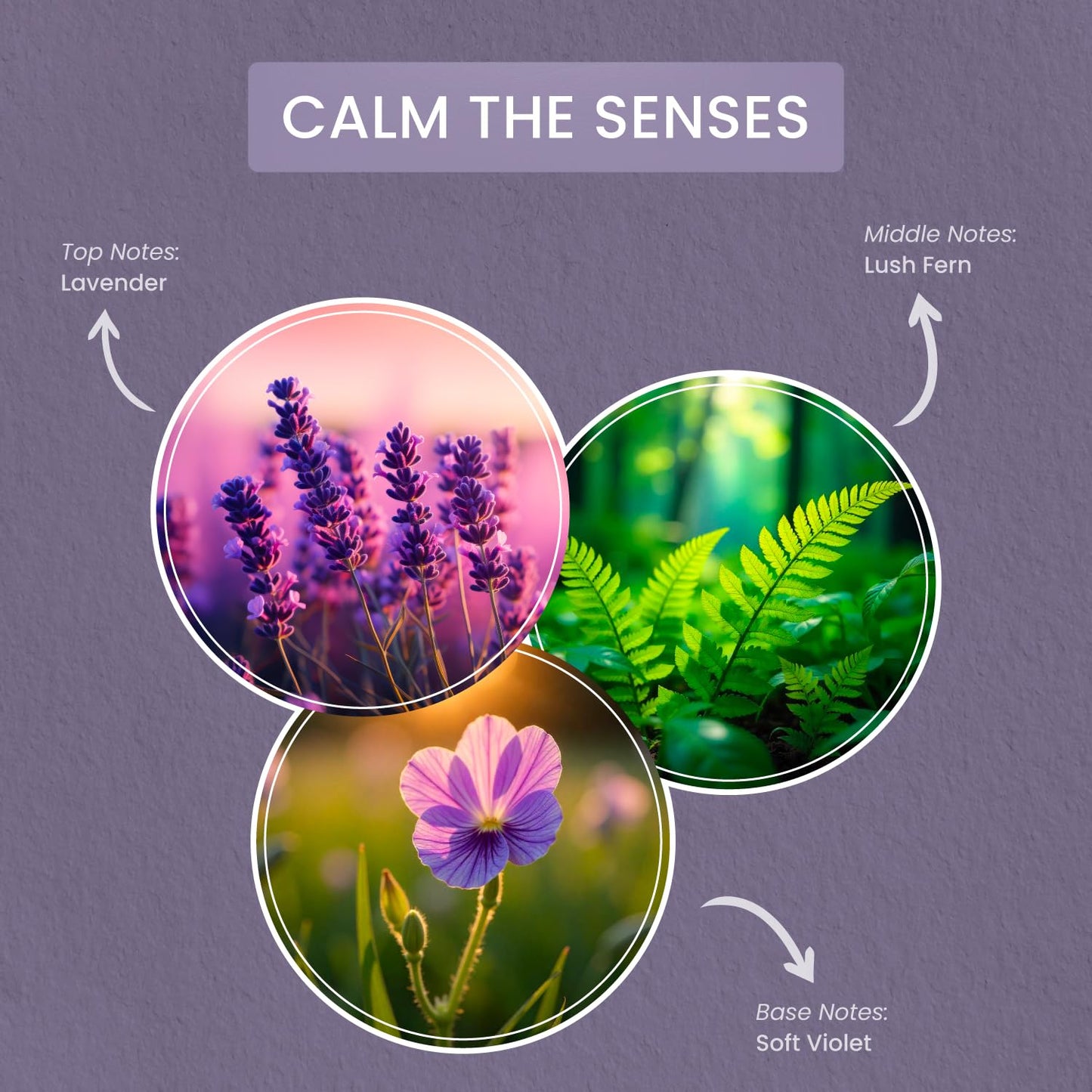 Carolina Calm The Senses Scented Candle, 16 oz Lavender & Fern Scented, 2 Wick Wellness Relaxing Candle, 60H Burn Time, Ideal for Creating a Welcoming Home - Made in The USA