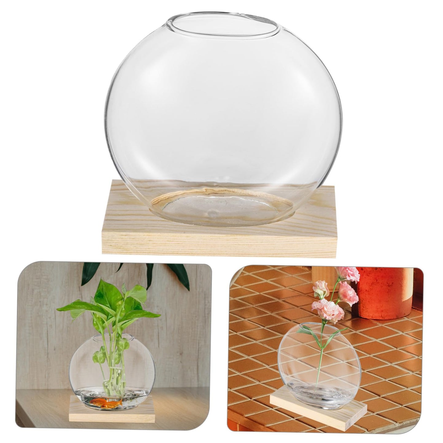 SUPVOX 2sets Glass Plant Wooden Base for Home Decor Indoor Hydroponic Plant Display Elegant Terrarium Design for Office and Wedding Decoration