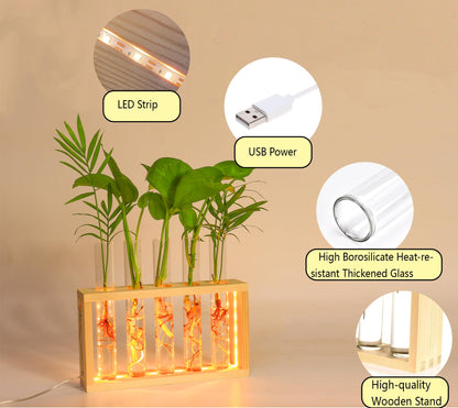 Plant Propagation Station with LED Lights, Plants Terrarium with Wooden Stand, 5 Glass Test Tube Vases for Propagating Hydroponic Plants Cutting Office Home Desk and Garden Decor Gift for Plant Lovers