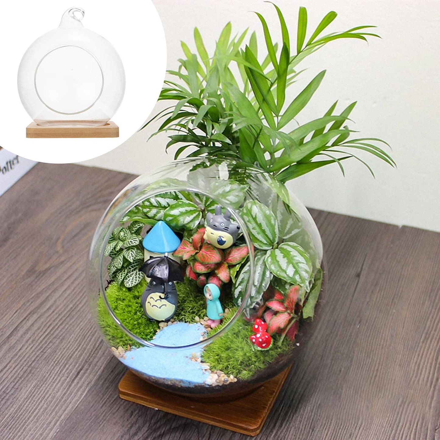 BESTOYARD Glass Vase Glass Flower Vase Plant Terrarium Display Glass Tabletop Air Plant Planter Globe Hydroponics Plant Holder Fish Bowl for Home Decor Centerpiece Black Flower Vase Air Plants