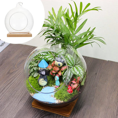 BESTOYARD Glass Vase Glass Flower Vase Plant Terrarium Display Glass Tabletop Air Plant Planter Globe Hydroponics Plant Holder Fish Bowl for Home Decor Centerpiece Black Flower Vase Air Plants