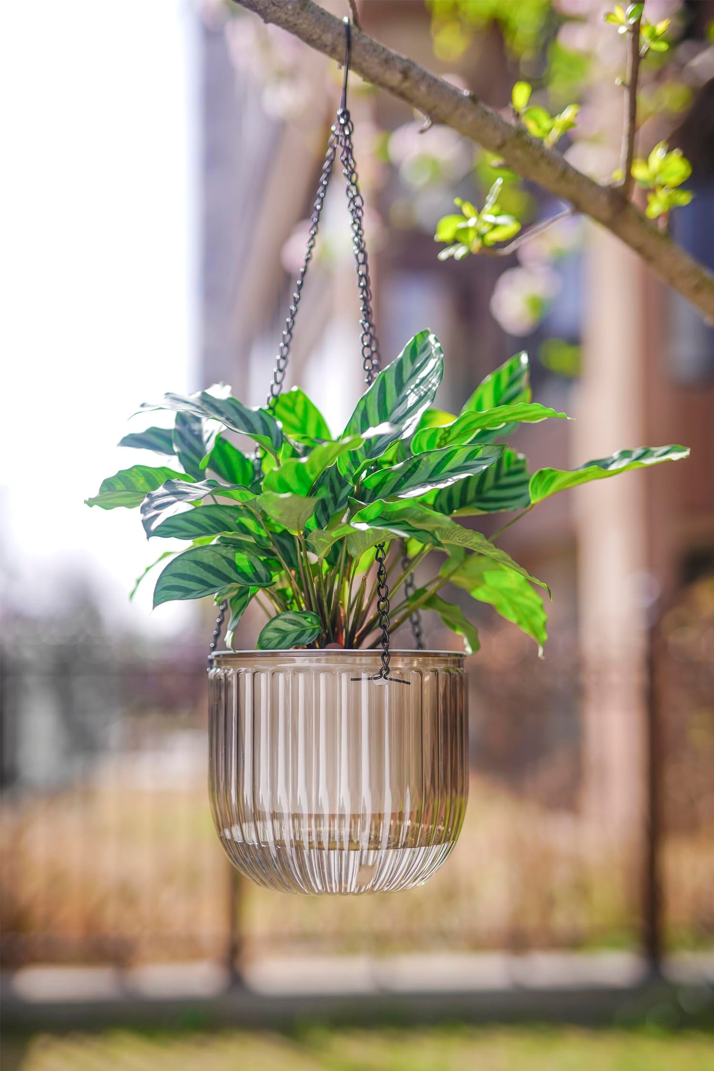 Melphoe Hanging Planters Outdoor and Indoor