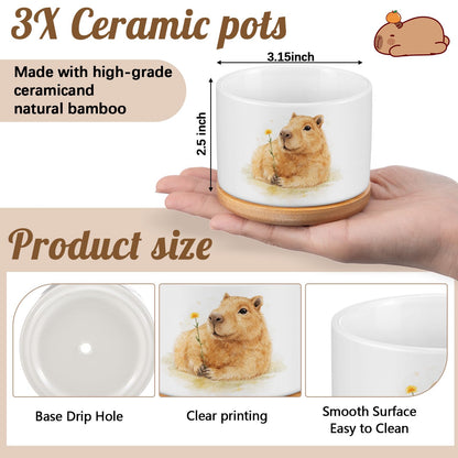 Jingmore 3 Pcs Capybara Decor Gift for Women Planter Ceramic Gift Animal Plant Pot with Bamboo Tray for Office Home Farm House Bathroom Kitchen Christmas Decorations (No Plants Included)