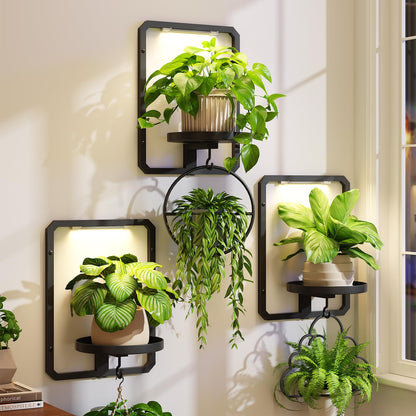 iDavosic.ly Wall Plant Picture Frame Holder Set of 3 with 3 Grow Light for Indoor, Metal Stand with Hanging Hooks, Space Saving Floating Flower Display Decor (Pots/Chains/Plants Not Included)