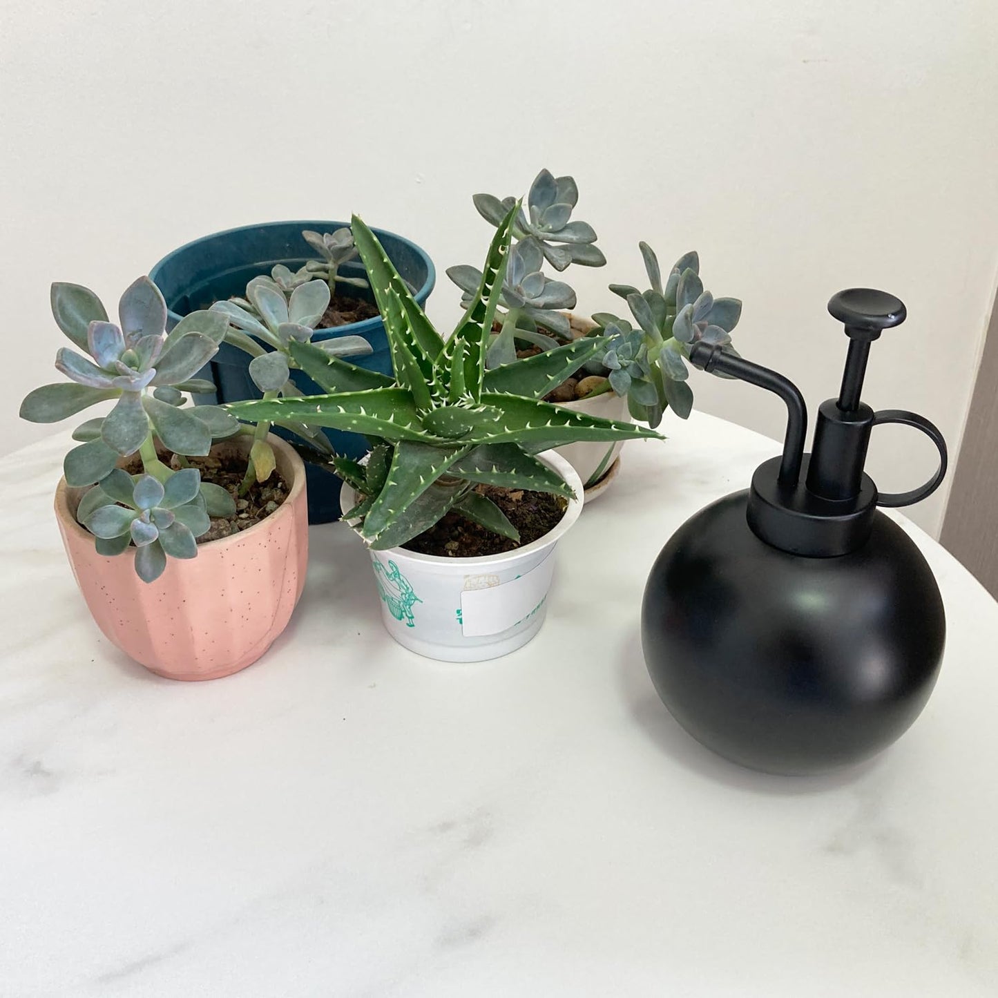 Lianshi Stainless Steel Plant Sprayer, Small Watering Can, Modern Gardening Tool for Indoor Potted Plants