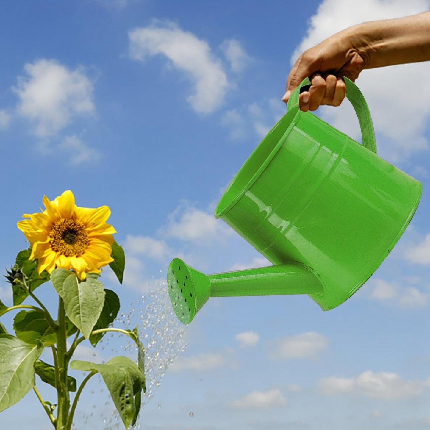 Watering Can, 1L Metal Flower Garden Watering Can, Lightweight Durable Decorative Gardening Tool for Outdoor Indoor Plants Lawn Garden (Green)