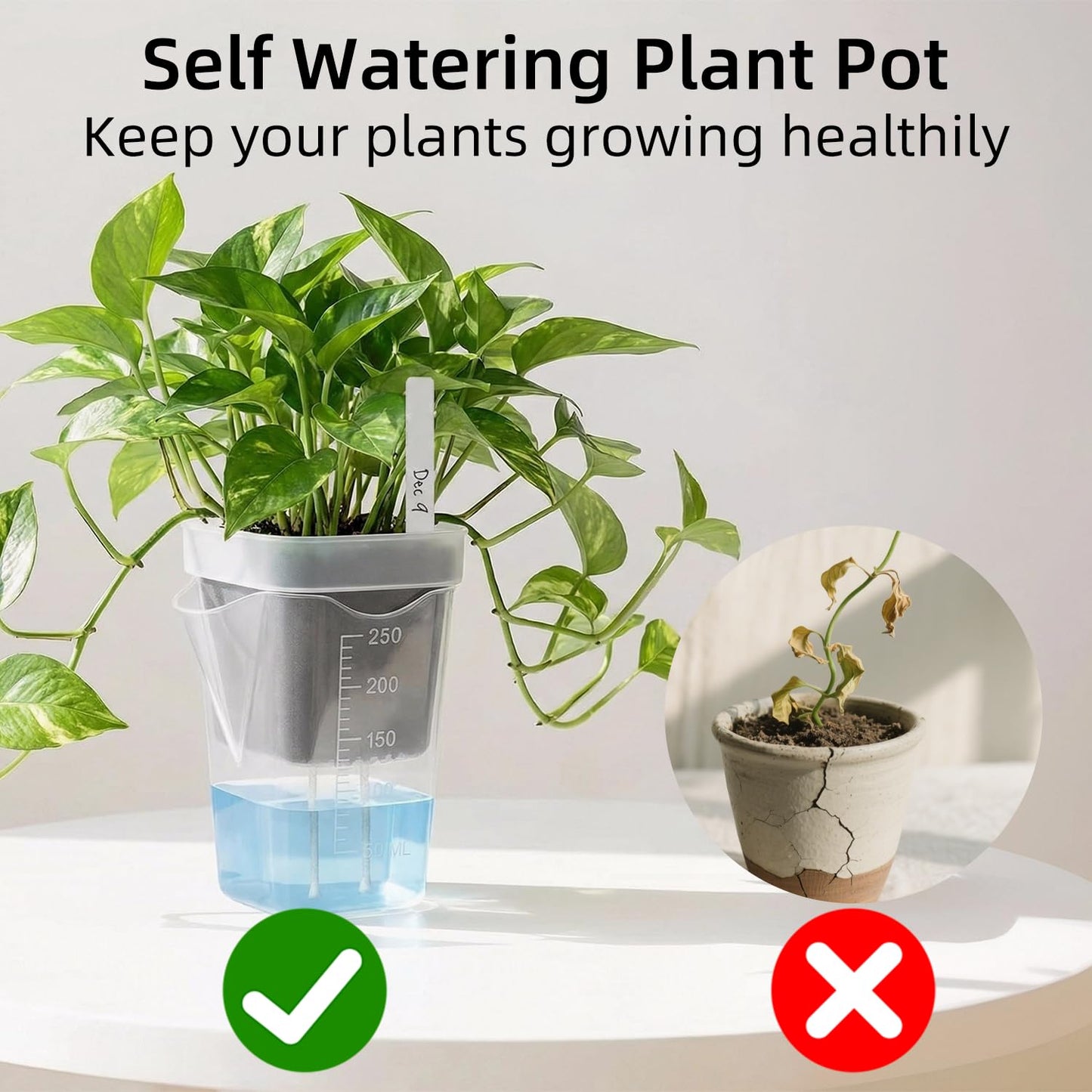 Addcean Self Watering Pots for Indoor Plants, 12pcs 2.5" Clear Plastic Planters Flower Pots for Cuttings, Seedlings, African Violets, Herbs, Mini Flowerpot with Measuring Cup & 12 Plant Labels