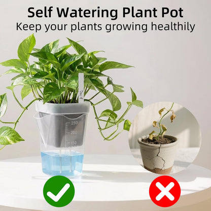 Addcean Self Watering Pots for Indoor Plants, 12pcs 2.5" Clear Plastic Planters Flower Pots for Cuttings, Seedlings, African Violets, Herbs, Mini Flowerpot with Measuring Cup & 12 Plant Labels