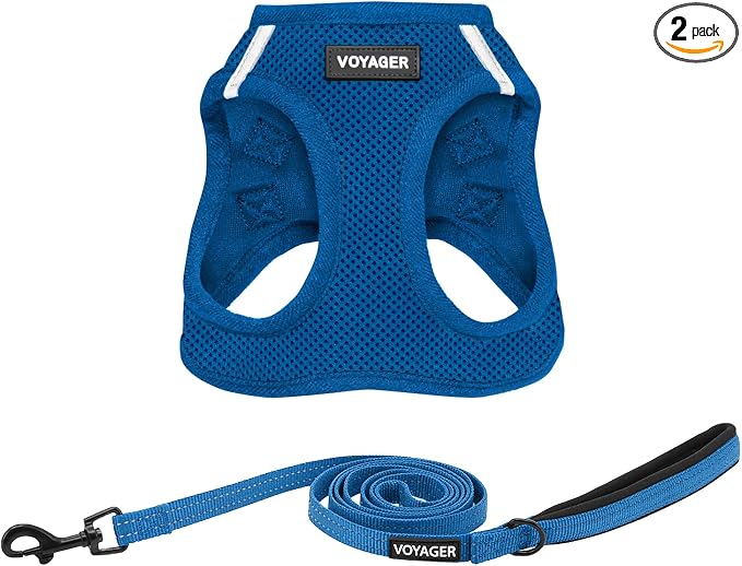 Best Pet Supplies Voyager Step-in Air All Weather Mesh Harness and Reflective Dog 5ft Leash Combo with Neoprene Handle, for Small, Medium and Large Breed Puppies - Royal Blue, XX-Small