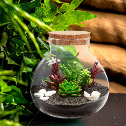 Alasum Glass Terrarium Bottle with Cork Lid 5.90X6.29X5.90In Round Jar for DIY Micro Landscape Fairy Garden Miniatures Home Decor and Kitchen Storage