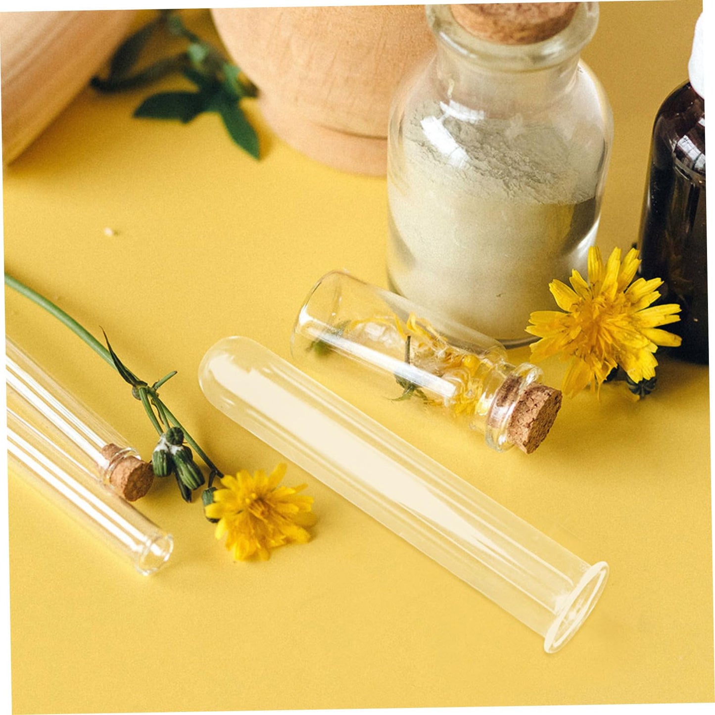 WESIEVYA 5pcs Glass Hydroponic Test Tube Vases 2.5x3x15cm Glass Propagation Tubes for Small Terrarium Plants Office Home Flower Display