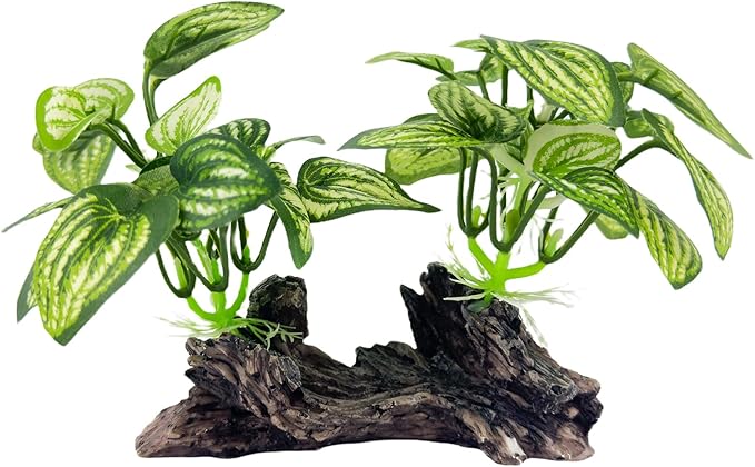 Aquarium Driftwood, Natural Fish Tank Decor for Betta, Reptile Hideout & Terrarium Ornament, Type-D