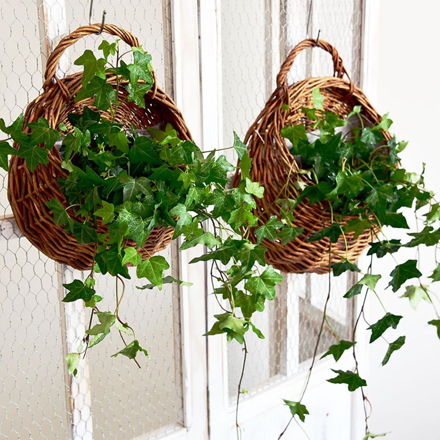 QRZLP Wall Hanging Flower Basket, Handmade Wicker Hanging Basket for Plant Wall Mount Rattan Chlorophytum Comosum Hanging Basket for Front Door, Home, Garden. (S)