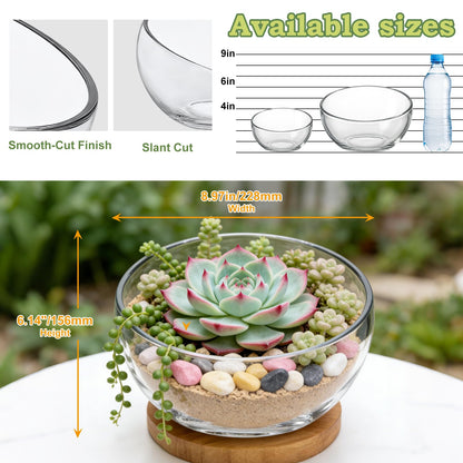 2Pack Slant Cut Bowl, Glass Terrarium, Glass Fish Bowl Vase, Flower Vase Centerpiece, Candy Dish, Fruit Jar (Big: Open 8.5" Height 6" x 3" ; Small: Open 5.75" Height 4" x 2")