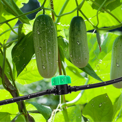 Innconee 50 Pcs 1/4 Inch Barbed Shut off Valve Drip Irrigation Tubing Coupling Valve Universal Drip Irrigation for 1/4" Tubing Greenhouses Flowers Beds Lawns Farmland(Green,Barbed Shut off Valve)