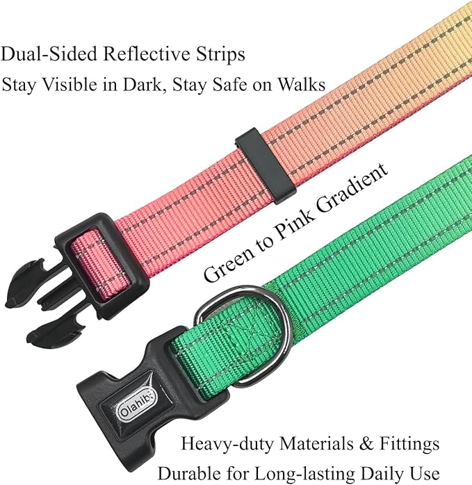 Dog Collar Leash Set, Gradient Color, with Safety Reflective Strips, 5 ft Matching Leash, Neoprene Padded Handle, Adjustable 4 Sizes for Small Medium Large Dogs.(M, Green Orange)
