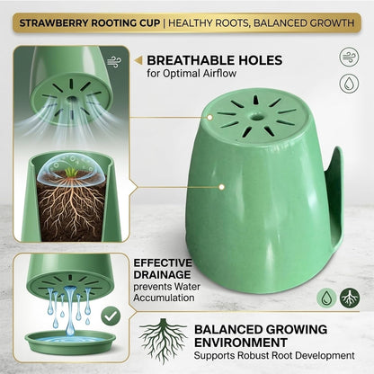 Strawberry Propagation Cups, with 20 Cups & 50 Forks and Gardening Tools, Hanging Strawberry Planter, for Bare Root Plants, Hanging Planter for Greenhouse & Home Garden (20pcs,Small)