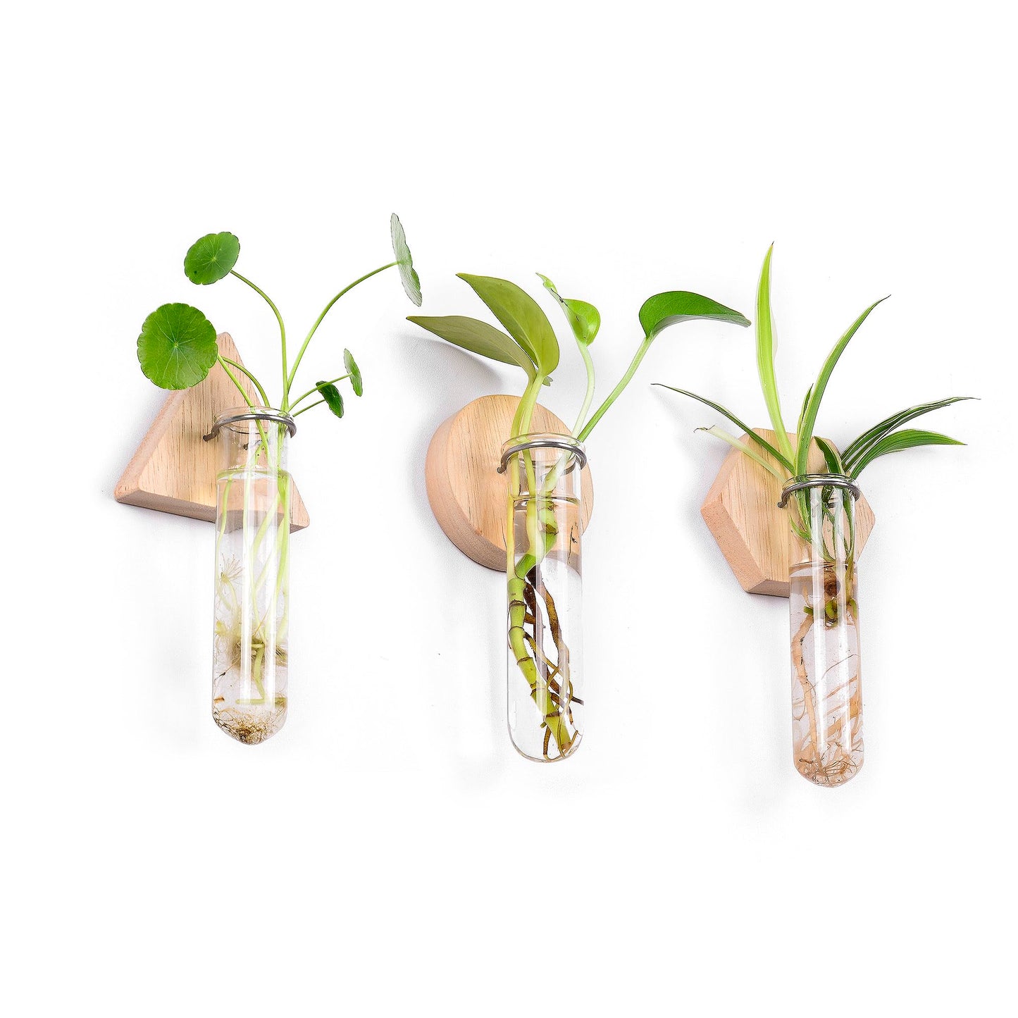 MITIME Wall Hanging Glass Planter Plant Propagation Station, Geometric Wooden Stand for Home Office Decoration
