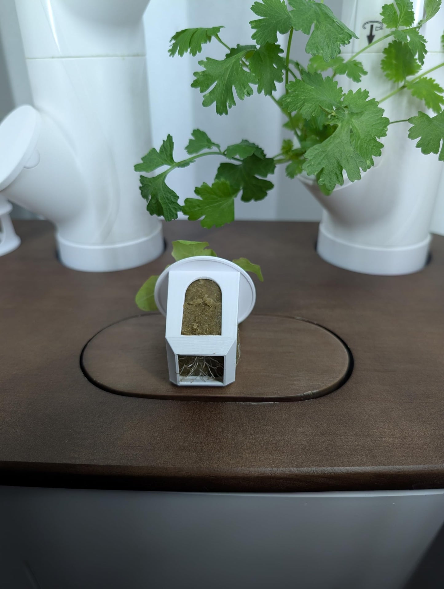 Grow Cubes for Hydroponic System/Compatible with Gardyn (20 Grow Cubes)