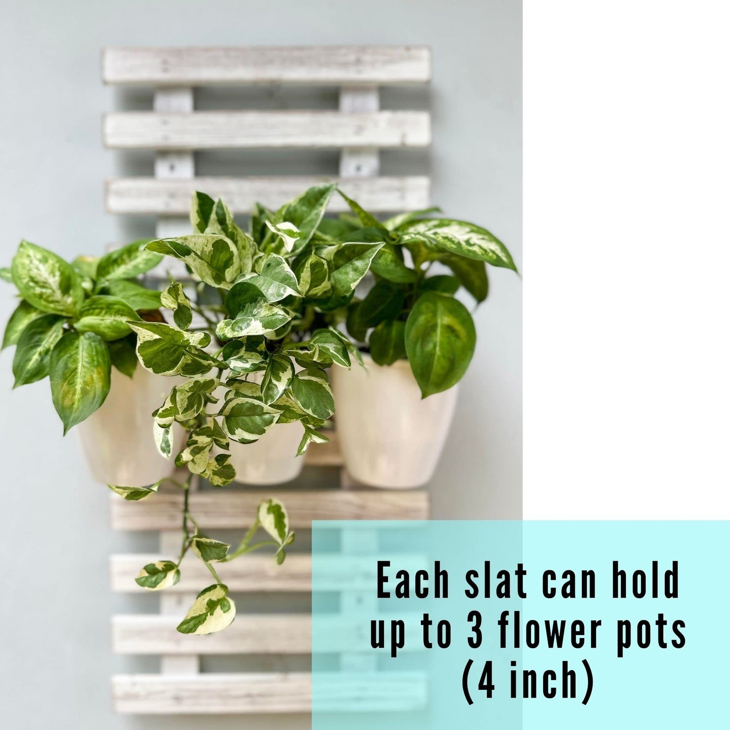 ShopLaLa Bundle- 4" x 10 Pack White Self Watering Plastic Pots + White Wooden Hanging Planters, Vertical Wall Mounted Herb Flower Garden Hydroponic Modern Pot Living Plant Sytem LaLaGreen
