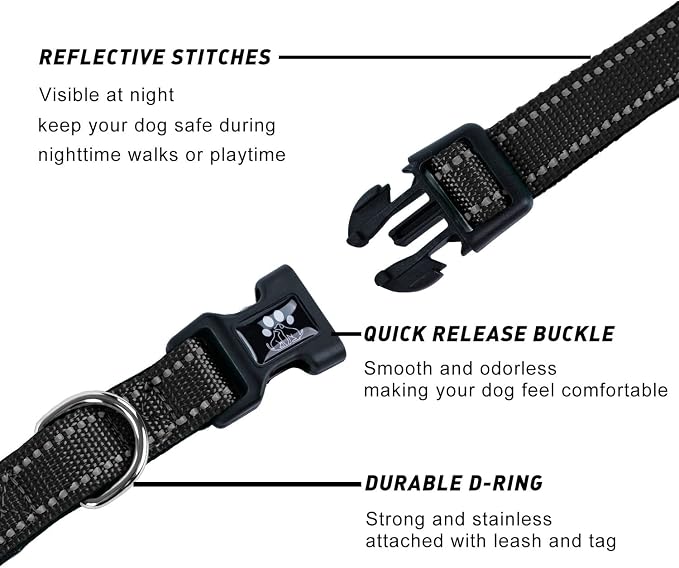 FURRYFECTION Reflective Dog Collar and Leash Set with Quick Release Buckle, Padded with Neoprene Adjustable Nylon Dog Collar for Small Medium and Large Dogs (Large Collar+5FT Leash, Black)